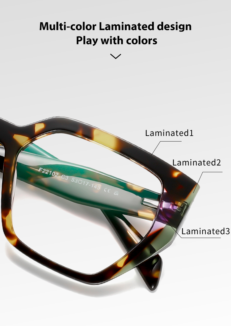 eyeglasses detail3