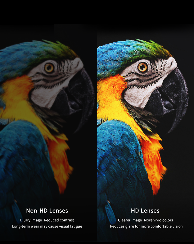 sunglasses parameter