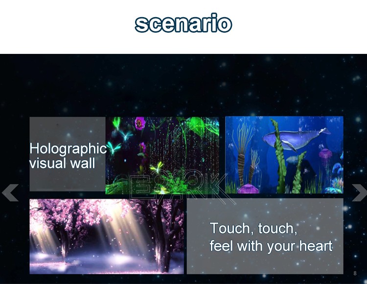 AR Commercial Interactive Technology Park Products Holographic Wall Games Flower Sea Projection Interaction